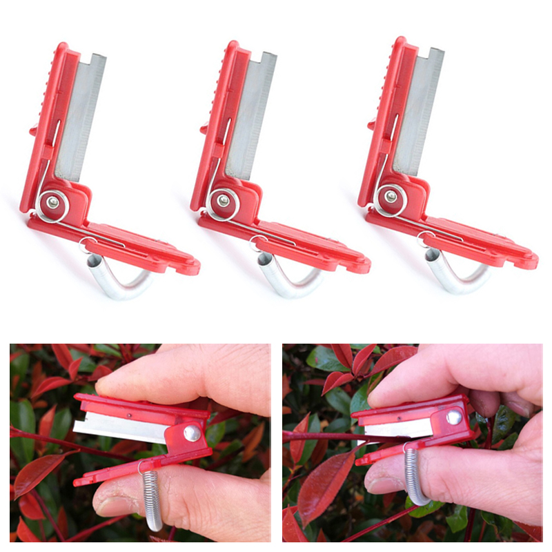 Harvest Knife Garden - Cuchillo separador de frutas y verduras,