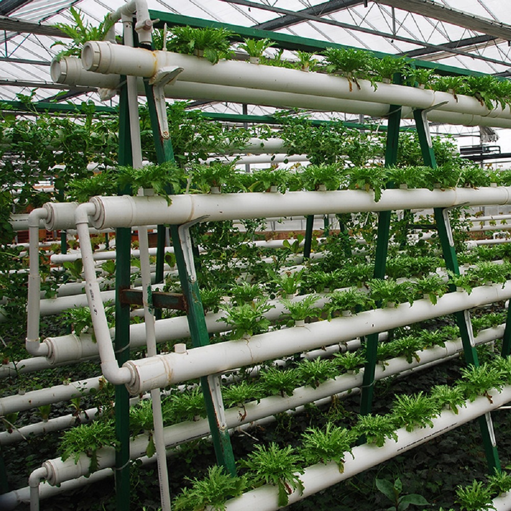 Equipo de cultivo sin suelo, e - Vertical Wall Planter reseña y precio