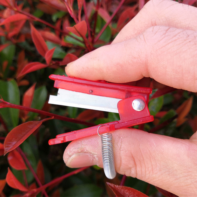 Cuchillo separador de frutas y - Harvest Knife Garden reseña y precio