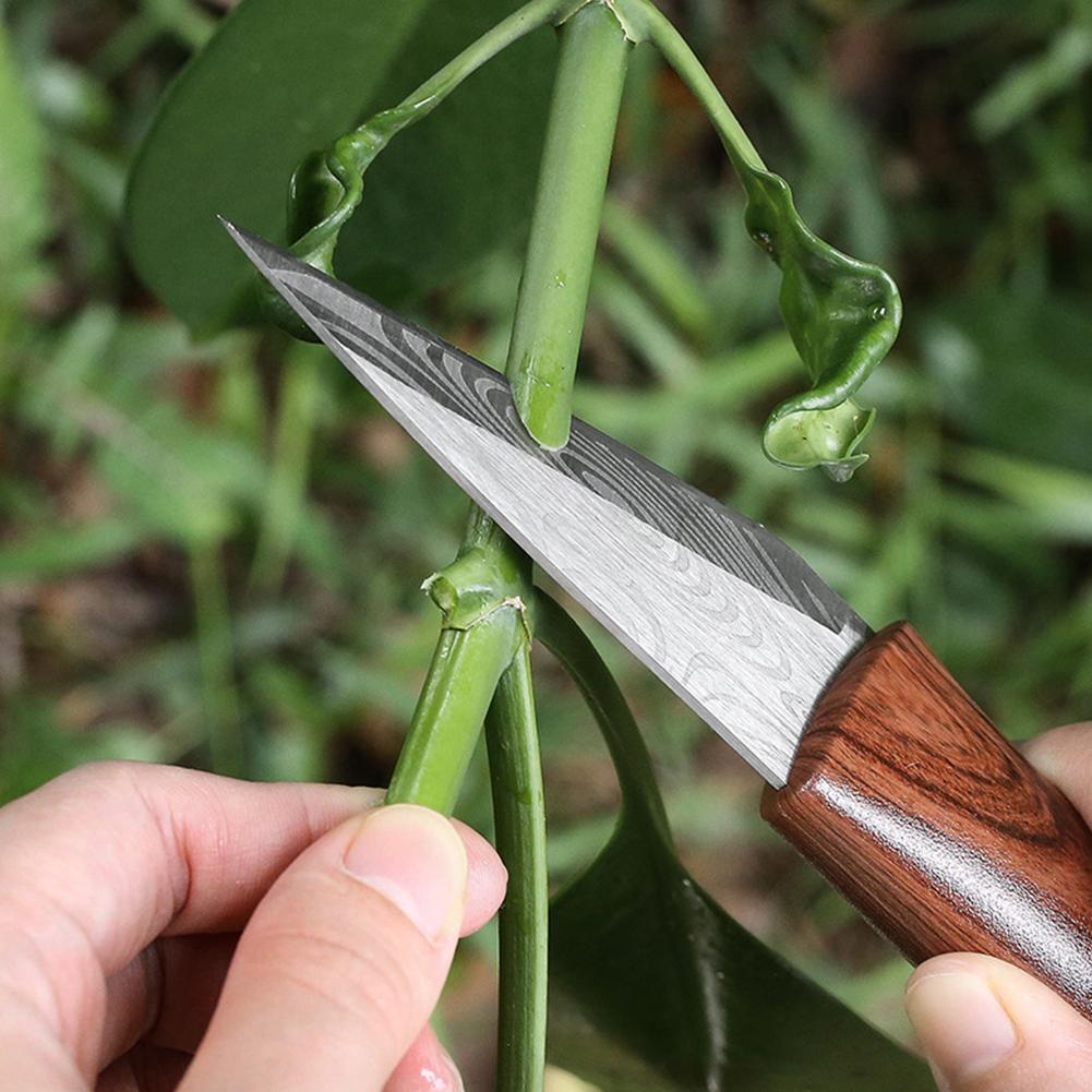 Cuchillo de injerto, herramien - Harvest Knife Garden reseña y precio