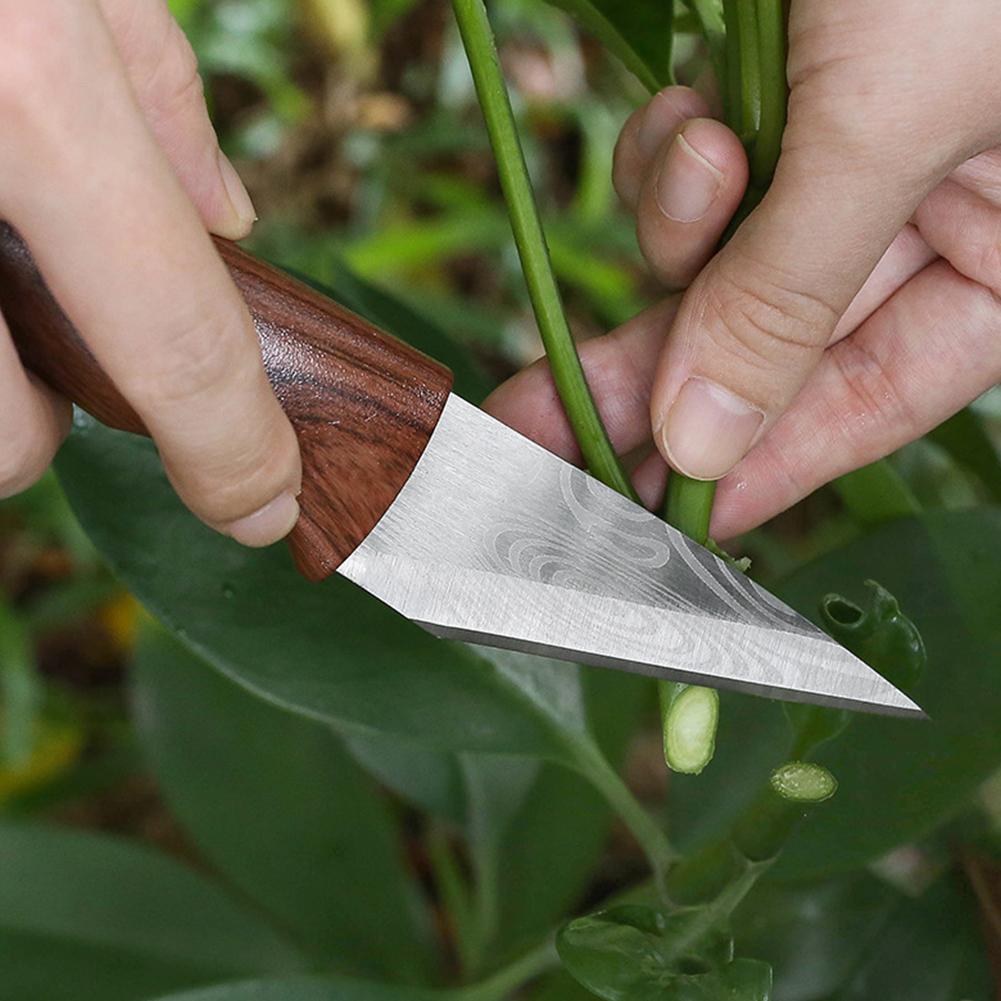 Cuchillo de injerto, herramien - Harvest Knife Garden reseña y precio