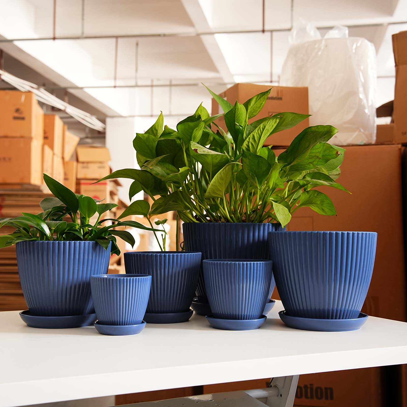 Maceta de Plástico Grueso con  - Vertical Wall Planter reseña y precio