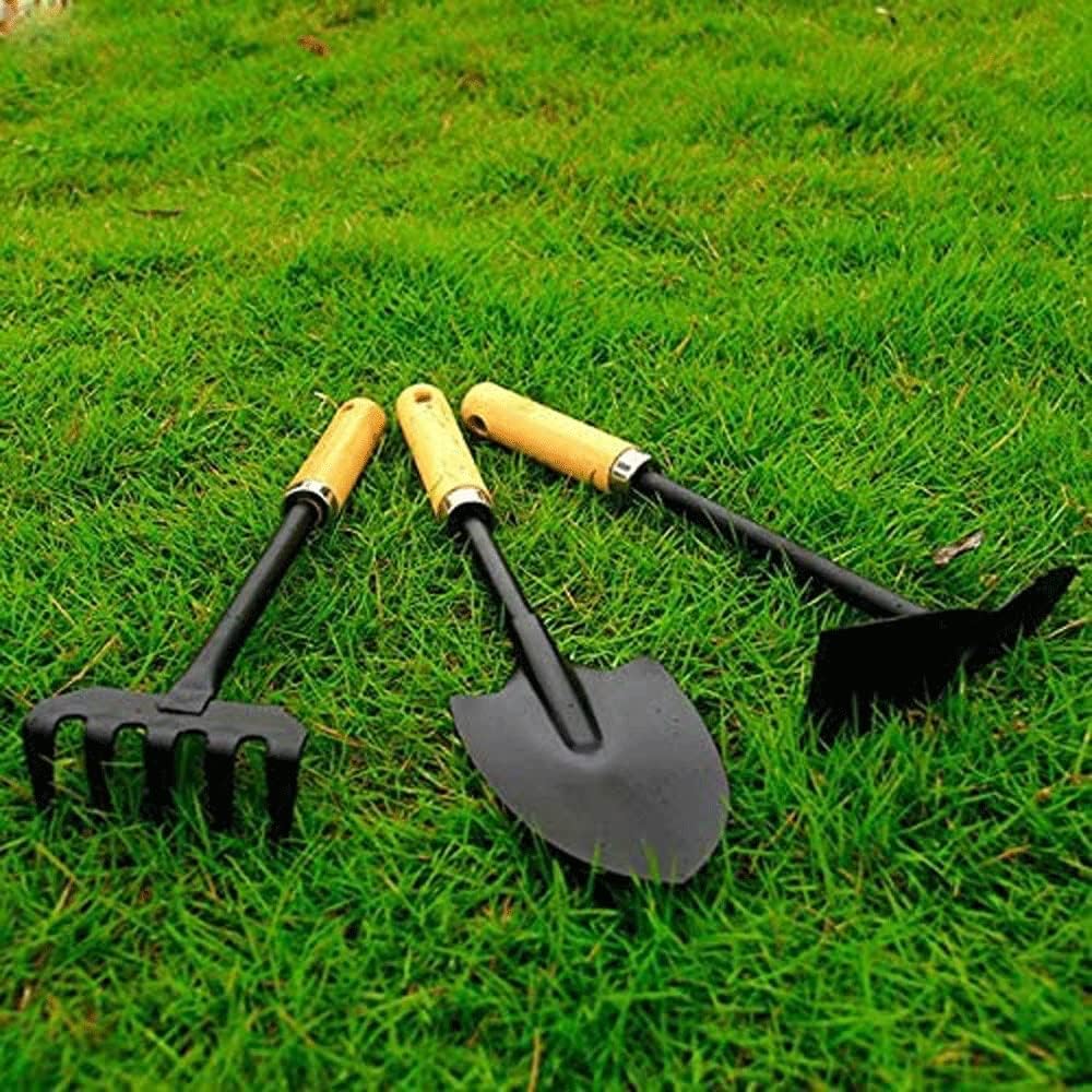 Mini pala, juego de tres herra - Gardening Tools Set Gift reseña y precio