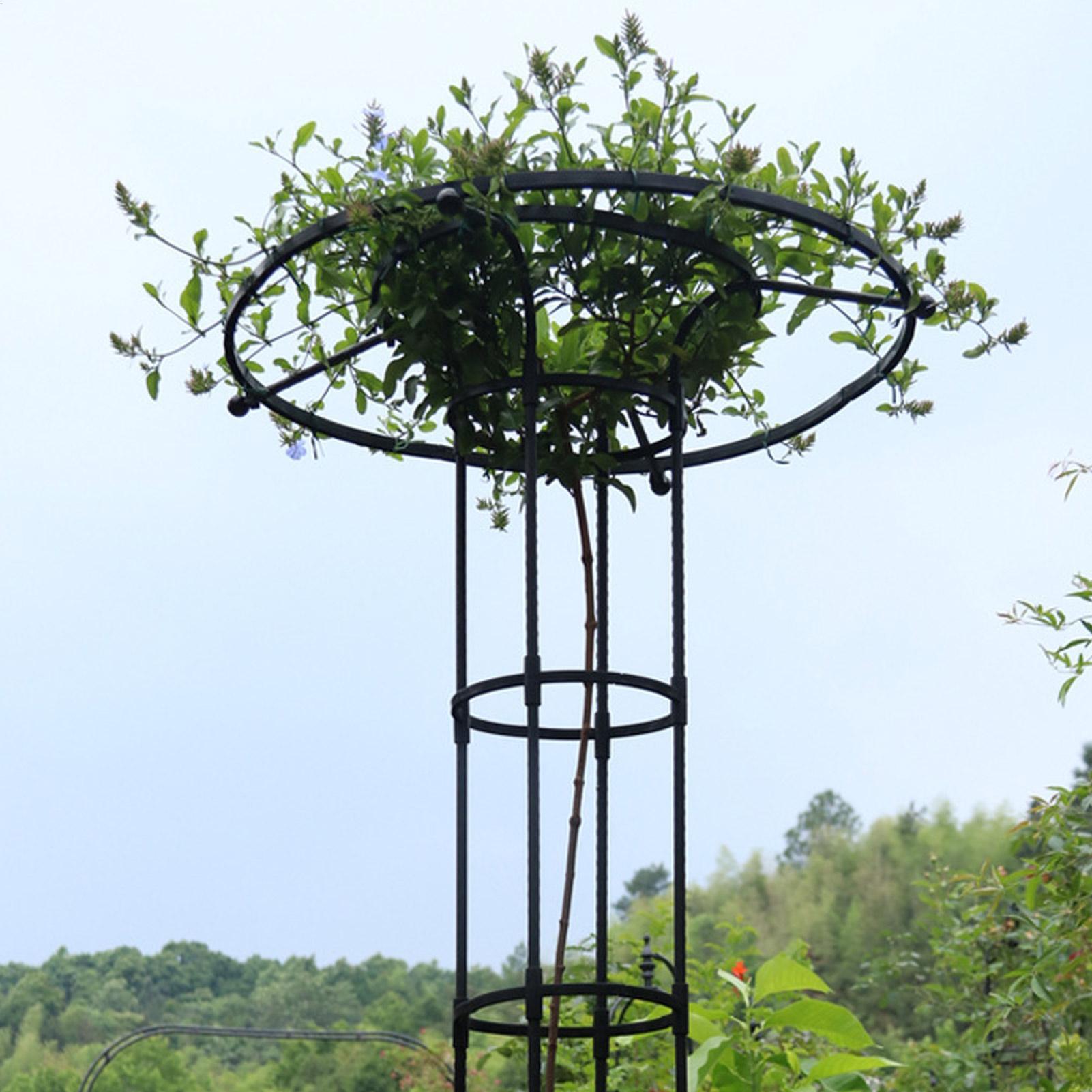 Torre de soporte para plantas  - Vertical Wall Planter reseña y precio