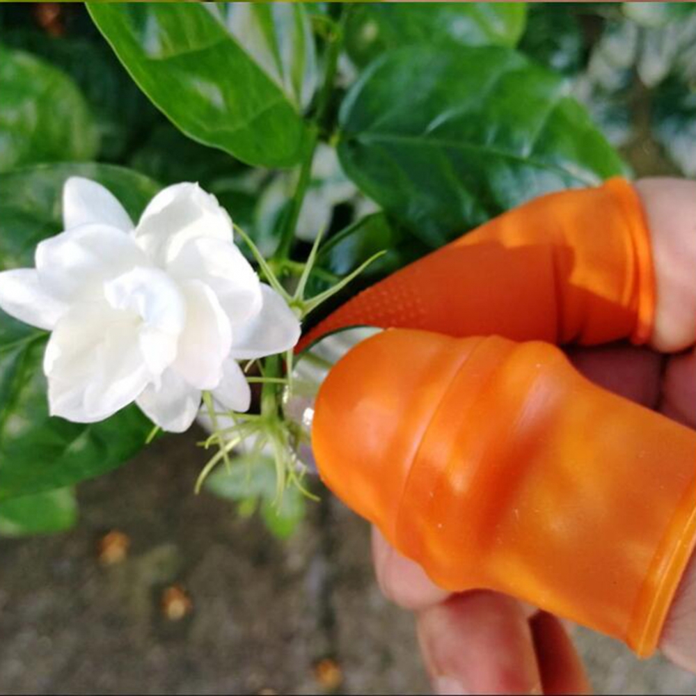 Cuchillo de silicona para jard - Harvest Knife Garden reseña y precio