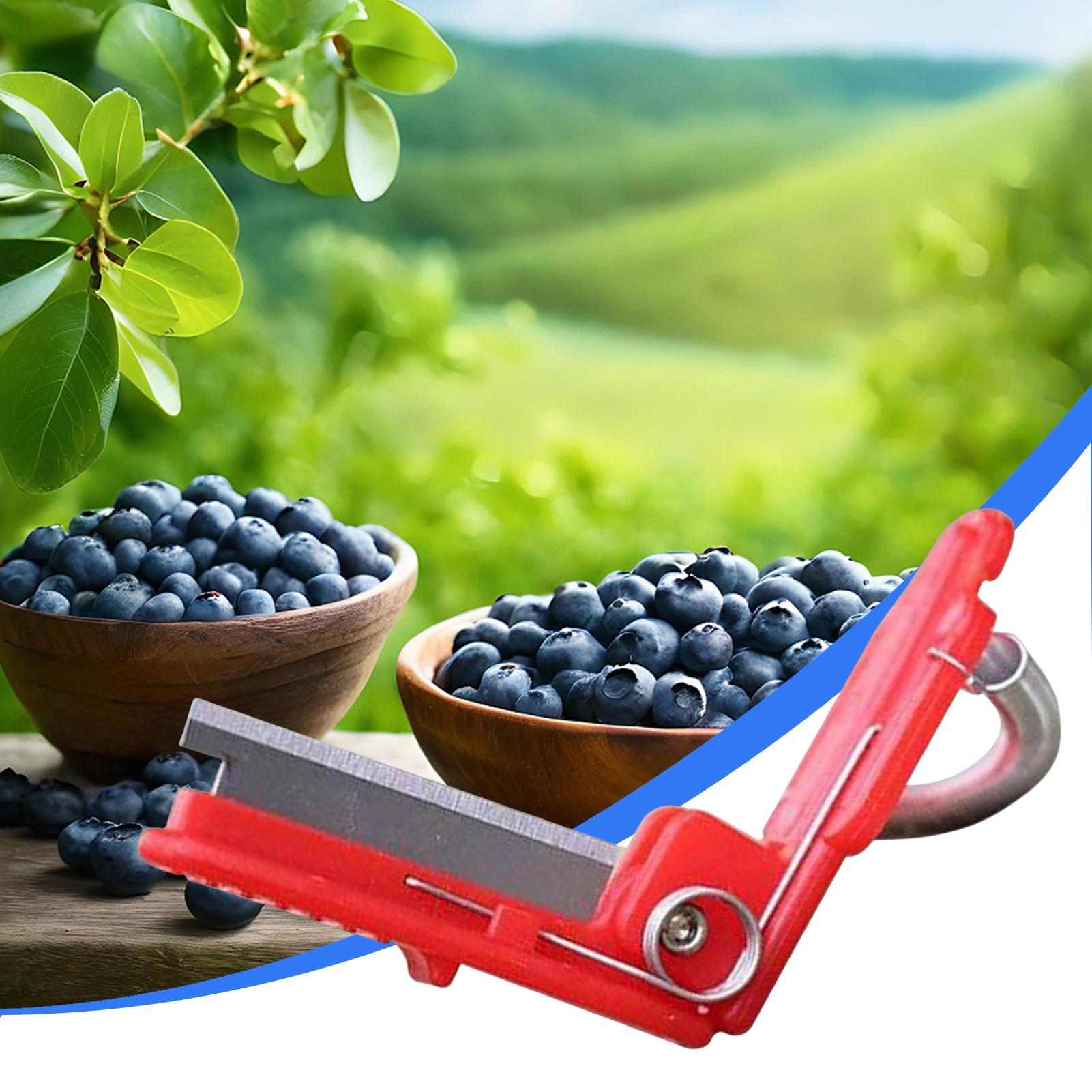 Cuchillo de Pulgar Multifunció - Harvest Knife Garden reseña y precio
